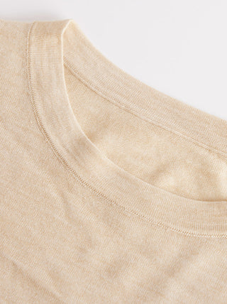 Camel wool-silk knit T-shirt neckline with ribbed crew collar