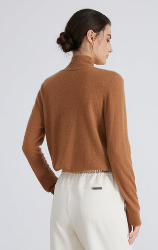 Brown cashmere V-neck pullover sweater from back view, long sleeves and knit texture