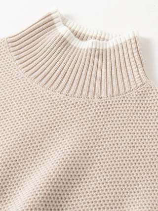 Camel knit sweater close-up of ribbed mock neck with contrast trim